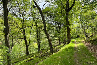 Walk photo