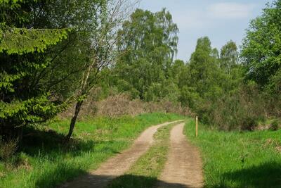 Walk photo