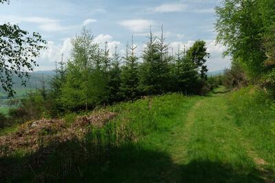 Walk photo