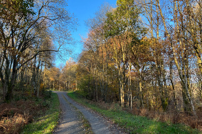Walk photo