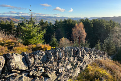 Walk photo