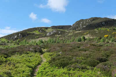 Walk photo