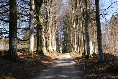 Walk photo