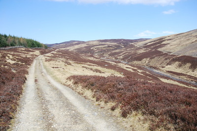 Walk photo