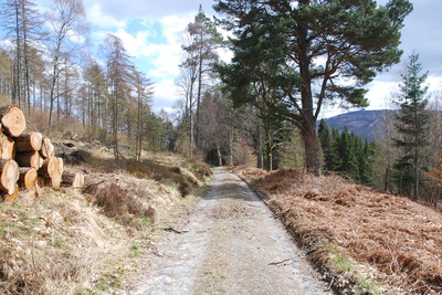 Walk photo