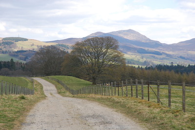 Walk photo