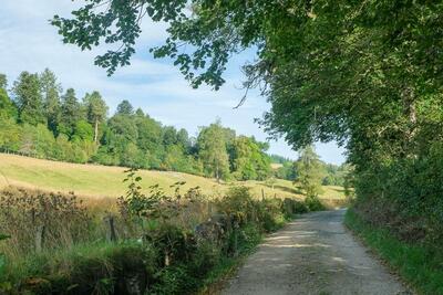 Walk photo