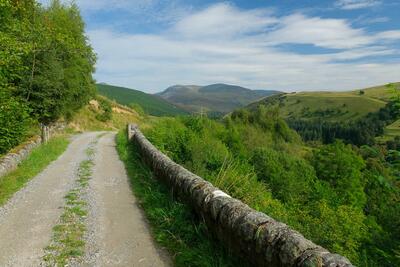 Walk photo