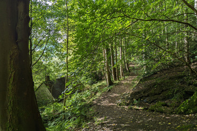 Walk photo