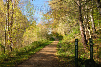 Walk photo