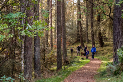 Walk photo
