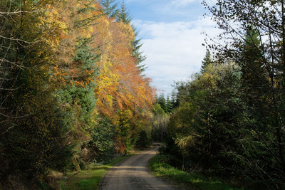 Walk photo