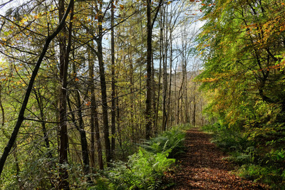 Walk photo