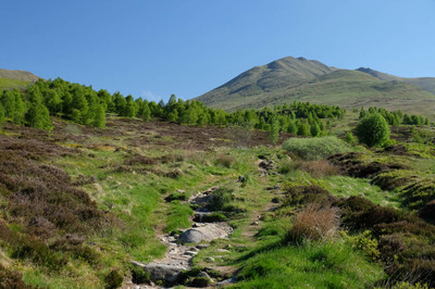 Walk photo