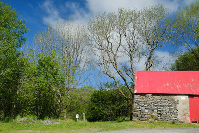 Walk photo