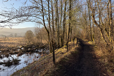 Walk photo