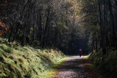 Walk photo