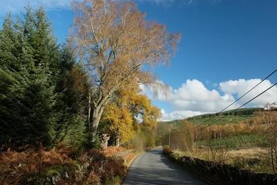 Walk photo