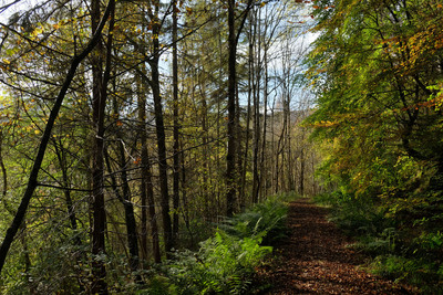 Walk photo