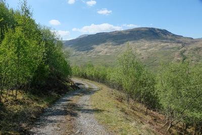 Walk photo