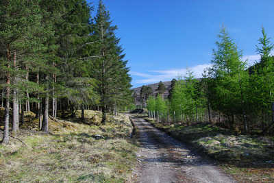 Walk photo