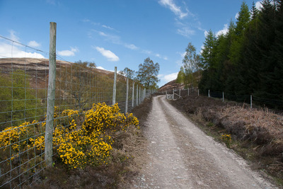 Walk photo