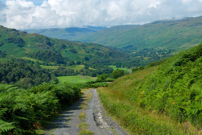 Walk photo