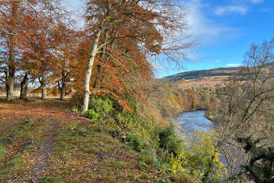 Walk photo