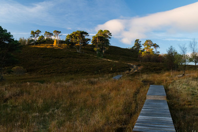 Walk photo