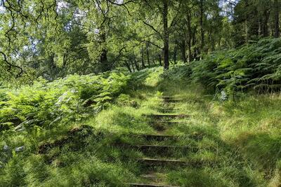 Walk photo