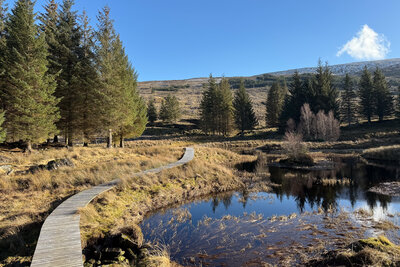Walk photo