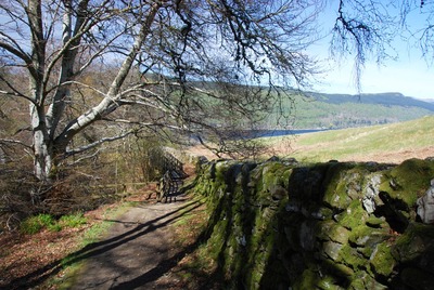 Walk photo