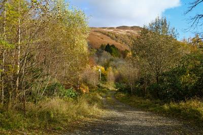 Walk photo