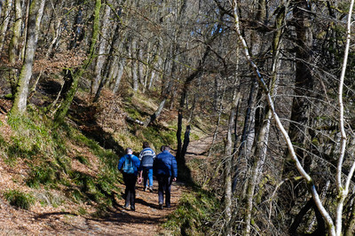Walk photo