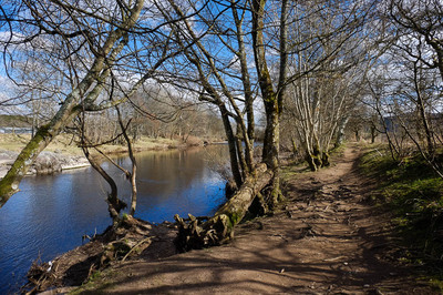 Walk photo
