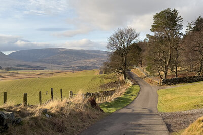 Walk photo