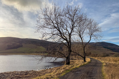 Walk photo