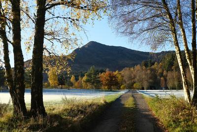 Walk photo