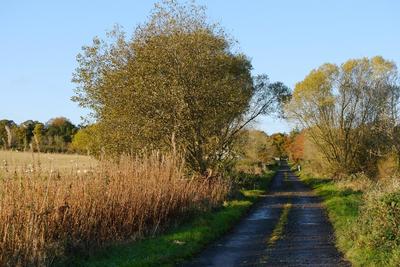 Walk photo
