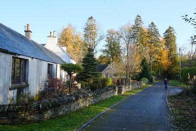 Walk photo