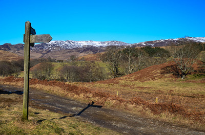 Walk photo