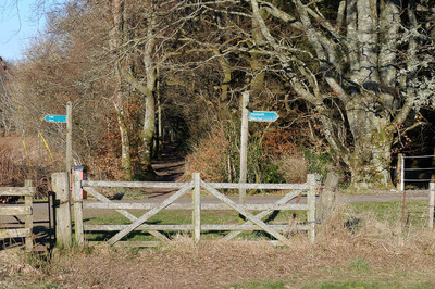 Walk photo