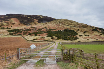 Walk photo