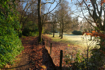 Walk photo