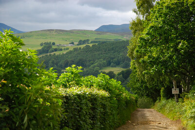 Walk photo