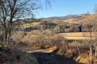 Walk photo