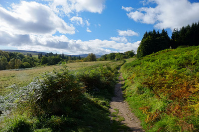 Walk photo