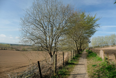 Walk photo