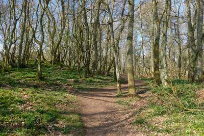 Walk photo
