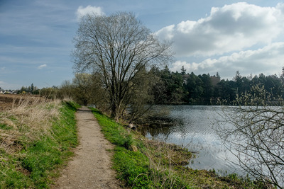Walk photo
